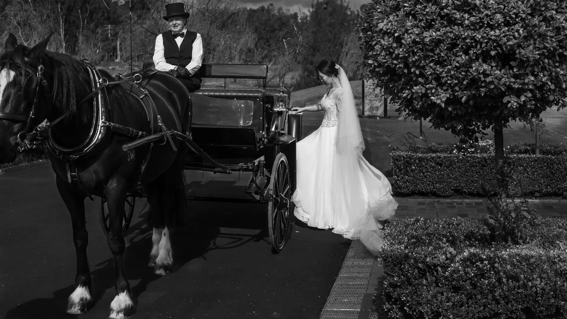 Lisa Fowler Bridal Hair and Makeup Newcastle
