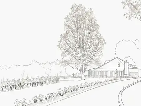 Spicers Vineyards Estate, wedding venue